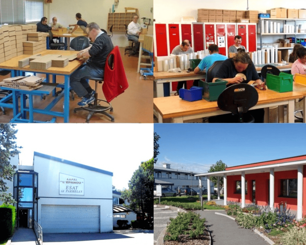 uppercase-subheading-4-1