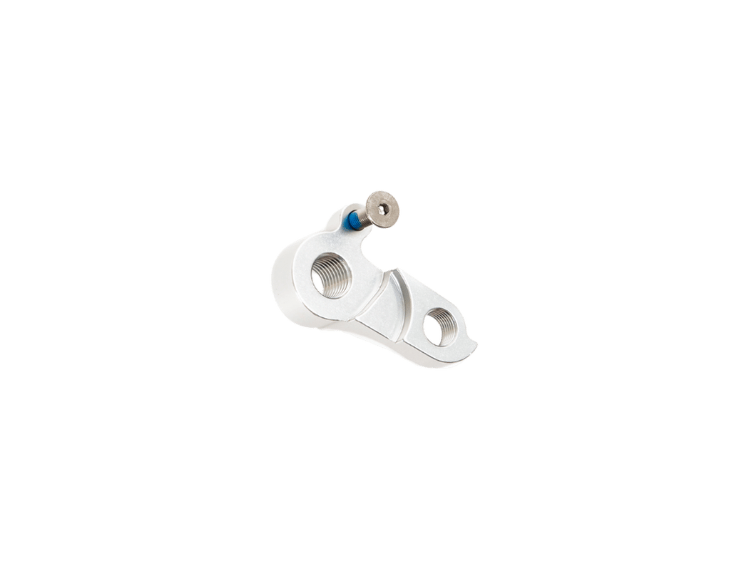 Derailleur Hanger for Spicy Curry V3-V4