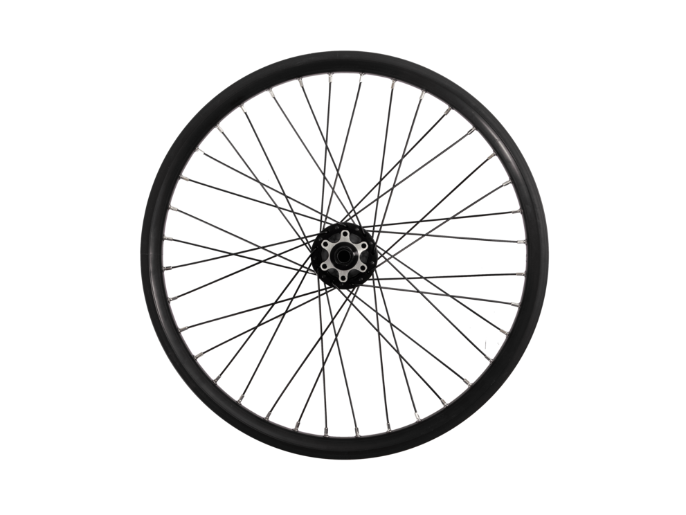 Rear Wheel for Spicy Curry V3 – 20"